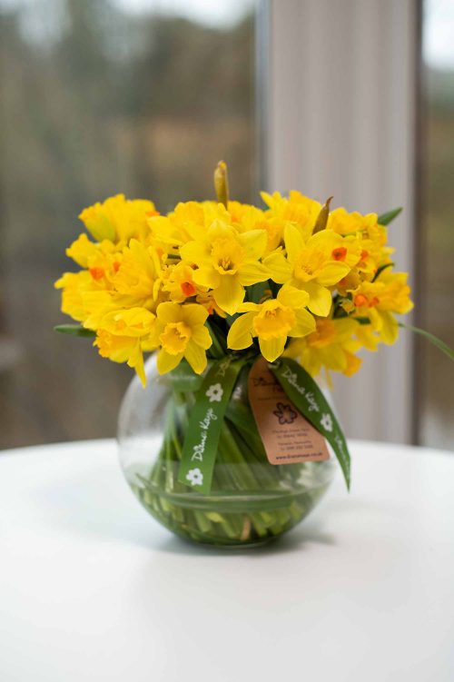 Daffodil Globe - Diana Kaye Florist