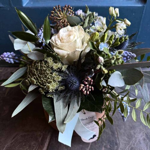 DK Hat Box - Wild and Wonderful