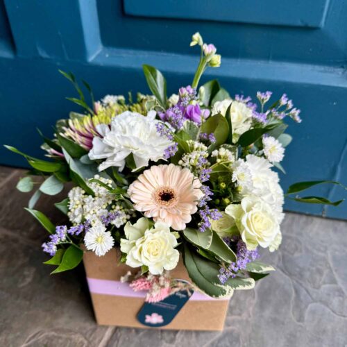 DK Sweet Treat - Pastel Pleasure