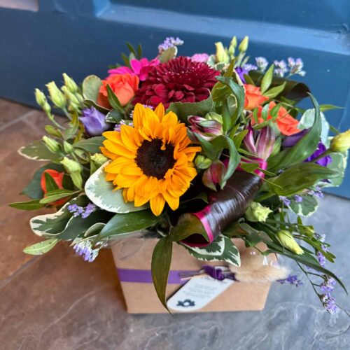 DK Sweet Treat - Vibrant Vibe