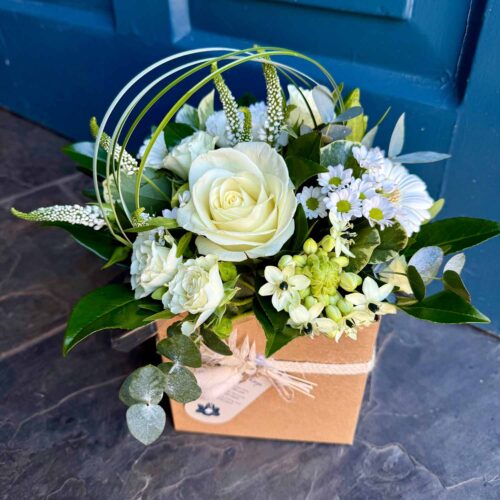 DK Sweet Treat - Classic White